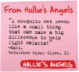 From Hallie's Angels 'A mosquito net seems like a small thing that can make a big difference to help fight malaria! - Kari, Bethlehem River Glove, IL - Hallie's Angels